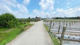 Bán  5 x 36 thổ cư đường Đan 3.5 m nền sáng,sạch đẹp  nhà đông đ
