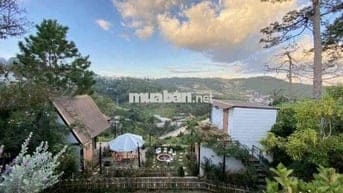 1000m2 620Triệu Đất Vườn View Sân Mây Cần Bán Gấp Tặng Luôn Vườn Hồng
