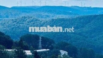 BÁN ĐẤT ĐẸP ĐÈO PHEN – VIEW TRIỆU ĐÔ