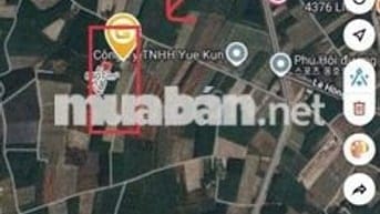 BÁN GẤP 24.212M² ĐẤT VĨNH THANH – NHƠN TRẠCH – ĐỒNG NA