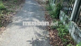CẦN BÁN 1400M ĐẤT VƯỜN CLN THUỘC PHƯỜNG TÂN HẠNH, TỈNH VĨNH LONG