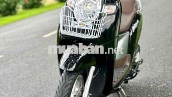 ✅✅Scoopy Zin Nguyên Bản.Siêu Keng. Ngay Chủ