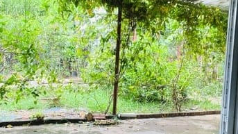 Bán nhà vườn trung tâm Hà Nội 