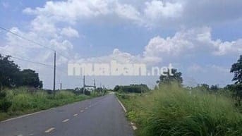 Đất nền Bà Rịa Vũng Tàu, Pháp lý đảm bảo, sổ hồng có sẵn