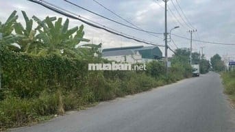 2000m2 Mt Nguyễn Văn Ràng qh kdc giá *** khu vực ngang bề thế