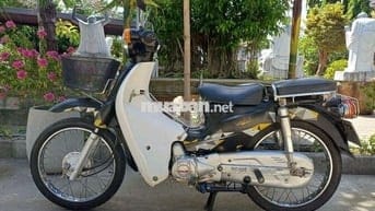 Cup Dalim 50cc 2020