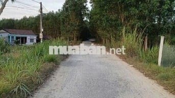 Đất quy hoạch thổ cư Quảng Ngãi giá rẻ chỉ 79 triệu, sổ hồng riêng sẵn