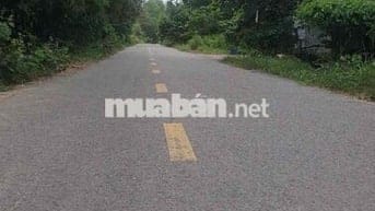 BÁN ĐẤT LAI HƯNG 85, GIÁ RẺ 15tỷ đường nhựa lớn