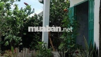 Cần cho thuê căn nhà gần biển Tiến Thành,  Phan Thiết