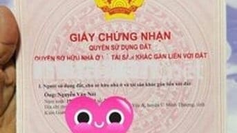 Đất ngộp chính chủ phường Long Nguyên