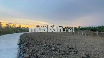 Đất mặt tiền quốc lộ 50,3 KCN, tiện ích đầy đủ