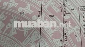 Mặt tiền đường nhựa xã Bình Chánh gần ngay trường Tiểu Học Kim Đồng