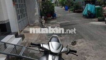 Yamaha novou 1 trùm mền zin cọp