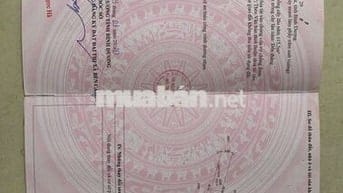 Chính chủ bán đất, đường nhựa 8m, đất vuông vứt