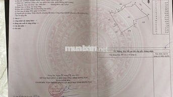 Kẹt tiền cần bán nhanh 3 công đất tại Phước Khánh, Nhơn Trạch