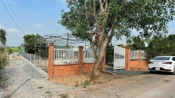 CHỦ CẦN BÁN NHÀ 736M2 PHÁP LÝ ĐẦY ĐỦ SỔ HỒNG SANG TÊN NGAY