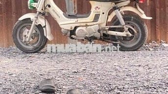 xe học xin đi còn ngon máy móc bao chạy lợi xăng
