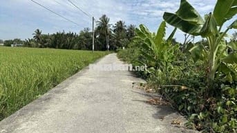 975m2 Full Thổ Giá 1.2 tỷ Sổ Hồng sẵn. đường Xe Hơi