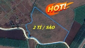 Bán đất 7390 m2 Chính Chủ - Xã Láng Dài -Bà Rịa Vũng Tàu