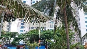 Căn hộ biển Mường Thanh Viễn Triều
