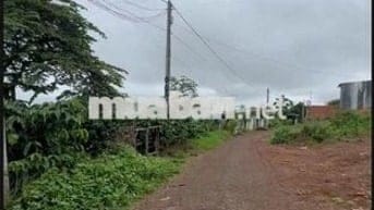 Hot – Bán 1000m2 - 285 Tr tại Chi Lăng -Pleiku cách QL19 400M