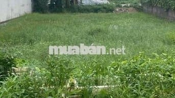 Bán đất Phúc Thắng, Phúc Yên, Vĩnh Phúc. Vị trí đẹp. Gần công ty