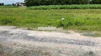 12 lô full thổ cư tại Tân Phong Tân Biên Tây Ninh
