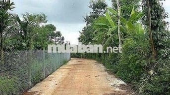 ĐẤT CÁCH PHỐ 9km đường bê tông vi vu nguyên lốc