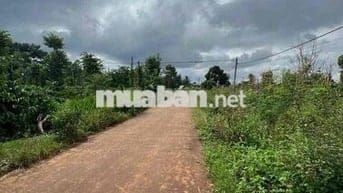 ĐẤT SÀO PHÙ HỢP XÂY DỰNG NHÀ VƯỜN