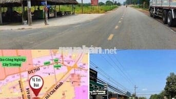 Đất Mặt Tiền Kinh Doanh - Xây Trọ - Quán Ăn CF