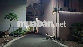Bán đất phân lô Lê Văn Quới 6.5x11m HXH tiện xây 5 tầng. Chỉ 4.5 tỷ