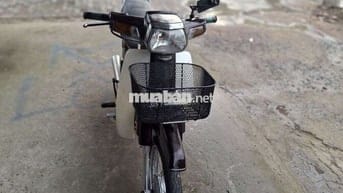 Zim hàn quốc. Bs 63 cà vẹt đầy đủ .