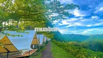 Chính chủ cần sang nhượng gấp đất vườn tại Đồng Nai do chuyển về quê