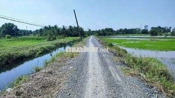 🆘🆘 7000m2 ĐẤT LÚA 3tr5/1m2 ĐƯỜNG XÓM HỐ