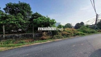 Em cần bán 145m2 tại Tân Phú Trung sát bệnh viện Xuyên Á chỉ 670Tr