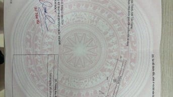 Đất nền siêu hót tại xã tân hương