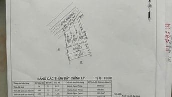 Bán Đất 2 Mặt Tiền Đường Nhựa ĐT-781 – Giá Cực Rẻ Tại Châu Thành, Tây