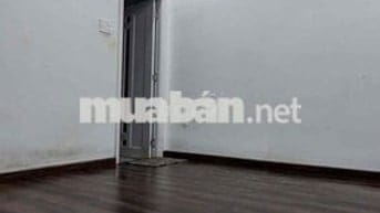 Cho thuê Villa 11pn  HXH Trần Quang Khải - Dĩ An TPHCM.