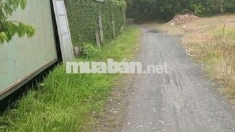 BÁN NỀN THỔ CƯ GIÁ RẺ CHỈ 950TR SỞ HỮU 180M TC
