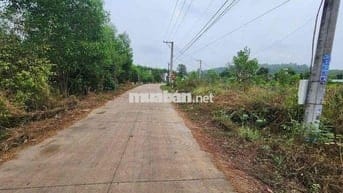 ĐẤT  NGỘP NGÂN HÀNG  CẦN BÁN GẤP