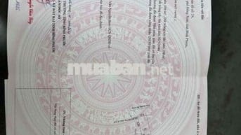 cần bán 2 lô đất liền 12*48 Tc 200m.