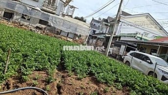 Cần bán đất nông nghiệp 2 mặt tiền