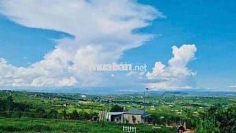 2 Lô đất 1000m2 đẹp chuẩn nghỉ dưỡng tại Lâm Hà ven Đà Lạt có sổ hồng