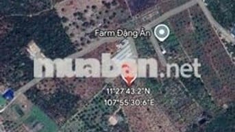 đất nhà ở và sầu riêng đang thu hoạch