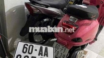 SYM Elegant 50cc 2025 200km Vừa Bấm Biển
