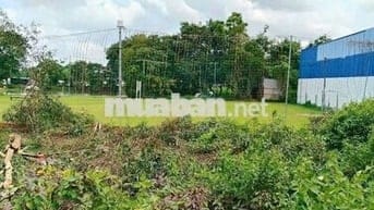 BÁN GẤP CẮT LỖ SÂU LÔ ĐẤT THỔ CƯ NGAY TÂN THÔNG HỘI, CỦ CHI, FULL THỔ