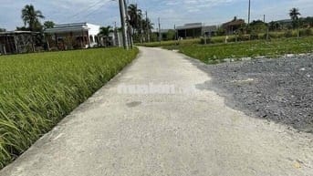 1115m2 Có Sẵn Thổ Cư giá 1 tỷ 150 triệu Sổ Sẵn, có Vườn Cây, nền sẵn