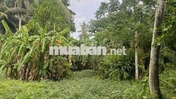 Bán đất tặng nhà trung tâm Rạch Giá, Kiên Giang