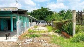 🌟 Bán đất Nguyễn Thị Nê – Giá chỉ 550 triệu 🌟