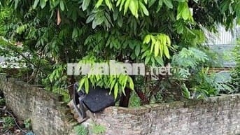 Bán đất tại Xuân Phương, nhỉnh 9 tỷ, 50m2, pháp lý đầy đủ, mặt tiền 4m